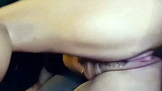 Just meant to be a simple car ride with the safado