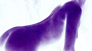 vintage drawings in retro style