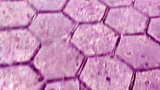 Unknown tinder latina bends over for first time doggystyle with juicy wet pussy spreading and double orgasm moans