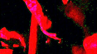 Cabine de Swing Intense Action with Renatinha Mello