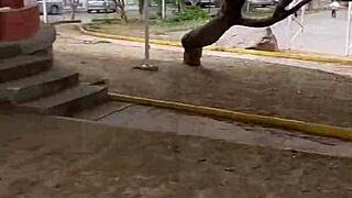 Beruka Gets Super Horny and Heads to the Park with Her Sex Toy Stuffed in Her Huge Shaved Pussy!