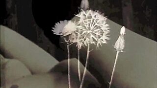 Dark Lantern Entertainment Shows Two Centuries Of Vintage Lesbian Porn With Hairy Pussies