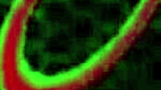 Mandy Rhea's wet pussy takes Rome Major's big cock