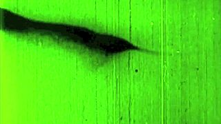 vintage erotic drawings