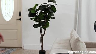 don't you just love when shy innocent girls next door start talking dirty on the sofa while getting fucked