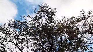 i ate out my cute hairy girlfriend in forest hut passionately