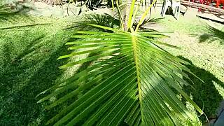 Watch this submissive Venezuelan milf flash big ass outdoors for cuckold husband!