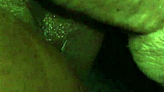 Delilah Strong's shaved pussy endures hardcore interracial ass to mouth