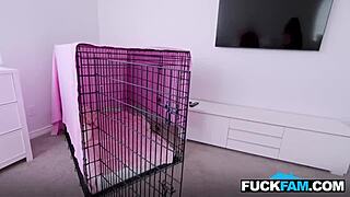 cagey luxe la fox pov deal with jay rock