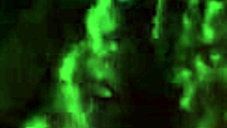 oiled teen booty throbs for stepbrother's deep fuck