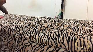 stella still bucks anal only on cam pov ride