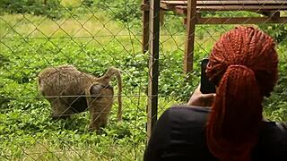 met this tourist dude in the park... his huge cock stuffed my mouth and tight ass for everyone watching!