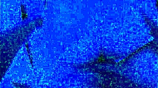 Check Out This Colombian Prostitute