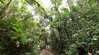 Latina Brunette Gives Public Blowjob Outdoors