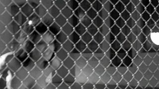 hey, wanna see this sexy gifs music video compilation with mark rosas?