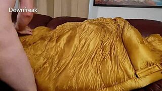 Why hump that golden bag on the sofa?