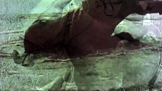 Dark Lantern Entertainment Presents Vintage Show