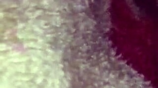 latina amateur bent over in homemade doggystyle fucking scene with mexican flair