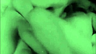 Vintage porn collection presented