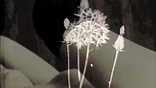 Double Penetration Secrets from the Swinging Seventies Retro Threesome