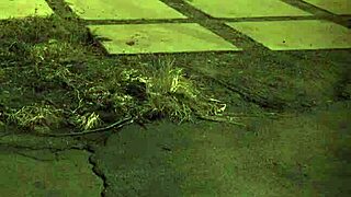 Anal Punishment Is Rough and Painful Unless You're from the Sixties