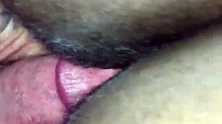 Back shot pounding ebony pussy hard!