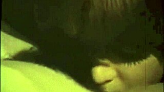 dark lantern presents the dragonfly