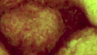 i can't get enough of vintage porn threesomes with hairy lesbian beavers in retro group action