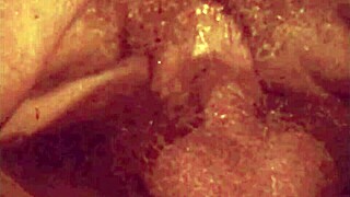 i can't get enough of vintage porn threesomes with hairy lesbian beavers in retro group action