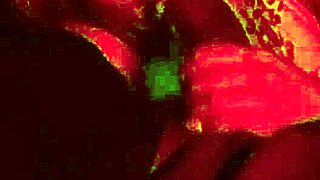 Maya Spending Time With Her Partner In An Intimate Setting