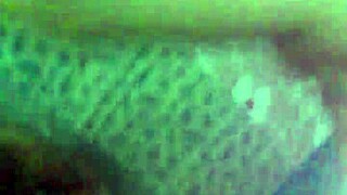 oh man, that sister got fucked so hard, it's not even real! 😱