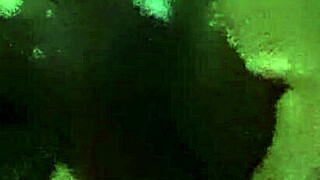 Wow! Jerking that big black cock to cumshot!