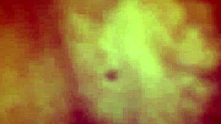 My friend licks wife's pussy 😏