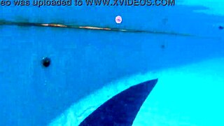 Trying to fuck Natzinha Morena outdoors but it didn't work