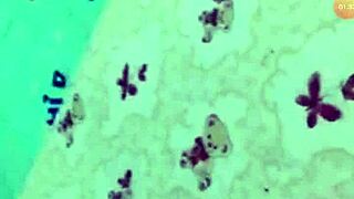 From chat to bed with Vietnamese call girl