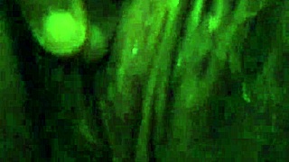 this hairy pussy is getting some fun with toys and vibrator