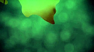 beautiful webcam feet guide masturbation with toys and fingering