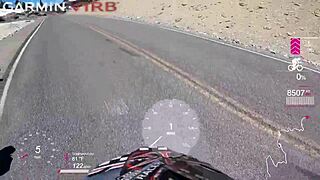 Suck My Balls Mt Lassen To Lake Tahoe Part 9 The Movie