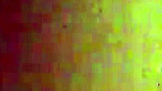 friends is wild in the night time