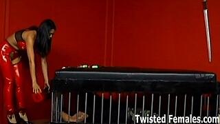 You Are Nothing But A Piece Of Trash To Me, Get Punished.