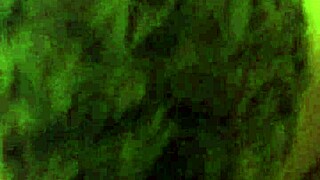 The Best Feeling Shower Head