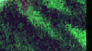 slut wife terrah fuckin big dick white trick poor quality