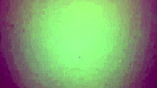 Dialogic Man, check out this rica mamada from my Colombian milf with huge tits!