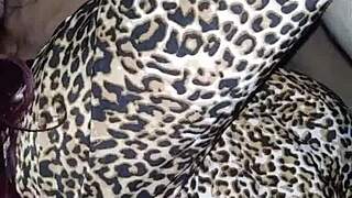 bitch can't get enough of my cock, begging for more