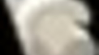 Taboo Hentai: Building Horsecock For Linda