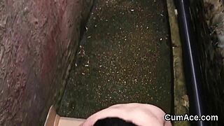 wacky hottie gets cum on face sucking all