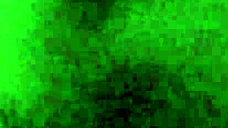 Tham Truong Vietnamese Self-Recorded Video