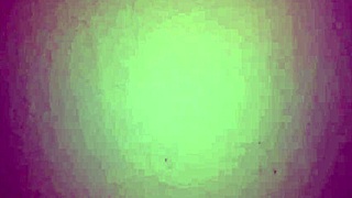 delicious blowjob from my colombian milf!