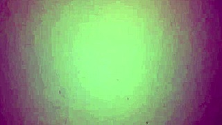 delicious blowjob from my colombian milf!