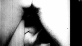 I present the dragonfly from dark lantern entertainment.